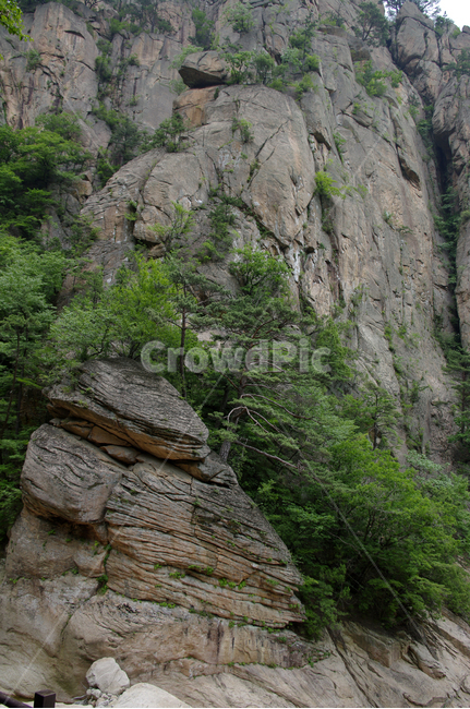 바위,풍경,나무,암석,식물,자연,풍경,nature,landscape,cliff,낭떠러지,outdoors,옥외