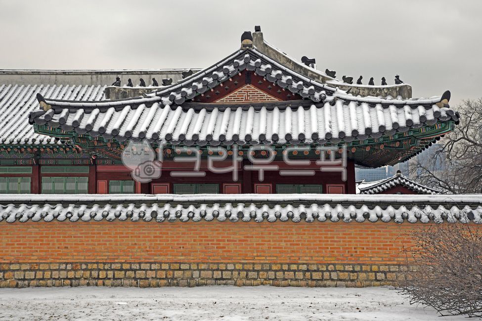 경복궁,한옥지붕,궁궐,북궐,고건축,gyeongbokgungpalace