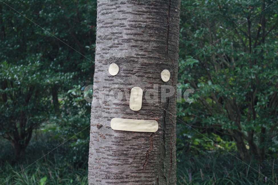 나무,이모티콘,plant,식물,tree