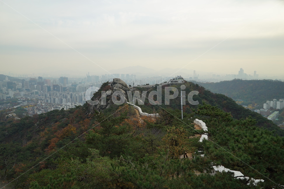 nature,자연,등산,산길,산행,산