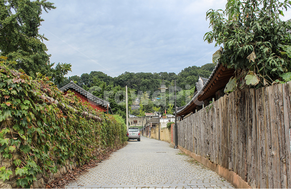 길,골목길,전주,한국,배경,background,사람없음,감성,feeling,nature,식물,road