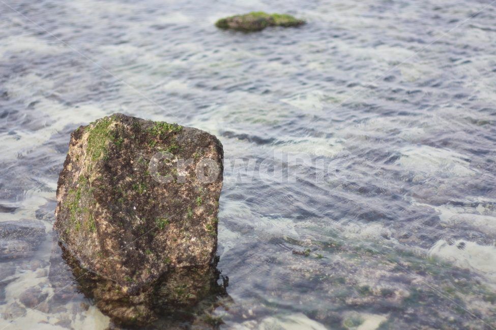 록,rock,파도,바다,암석,돌