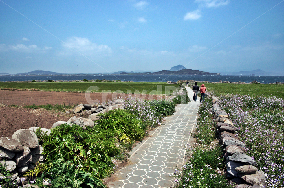 돌담,밭,가파도,제주,올레101코스,서귀포시,대정읍,마을,섬,푸른하늘,봄,올레길,제주도,jeju,jeju island,사람들,대중,군중,other people,crowd,person,사람,human,인간,path,통로,walkway,보도