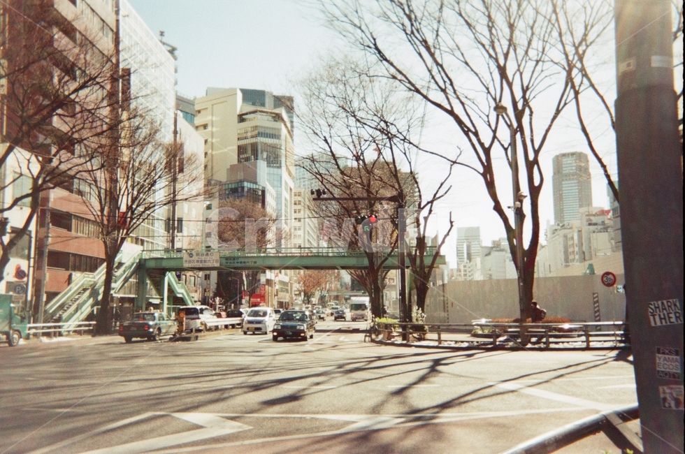 일본,육교,거리,한적한,도로,도쿄,도시,도심,나무,tree,city,tokyo,japan,street,road