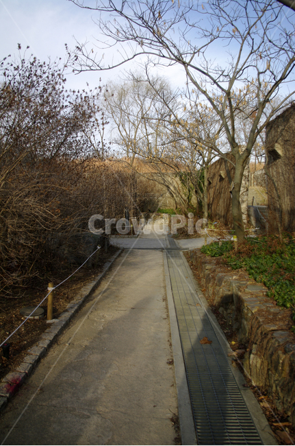 겨울,나무,공원,식물,plant,하늘,구름,길,자연,풍경,nature,landscape,road,도로,street,거리,urban,어반,town,도시,city,시티,building,건물,path,통로,tree