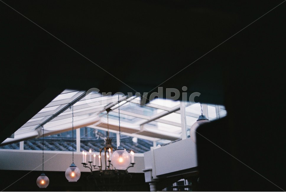 지붕,고양이,조명,카페,필름사진,감성,sensible,feeling,인테리어,실내디자인,interior design