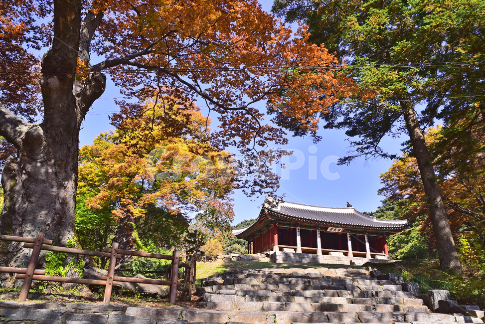 남한산성,한국전통,세계문화유산,유네스코,가을,koreatraditional,유형문화재,문화유적지,역사,히스토리,history,unesco,기와지붕,한국자연경관,가을배경,단풍나무,단풍숲,forest,가을풍경,fall,season,시즌,계절,가을분위기,가을서정,야외,옥외,아웃도어,outdoor,autumn,건축물,식물,building,plant,architecture,건물,돌계단,고목,가을,계절,fall,autumn,season,한국전통,한국문화,korean traditional,korean culture,건축물,건물외관,exterior,building,structure,architecture,construction,tree,나무,temple,신전