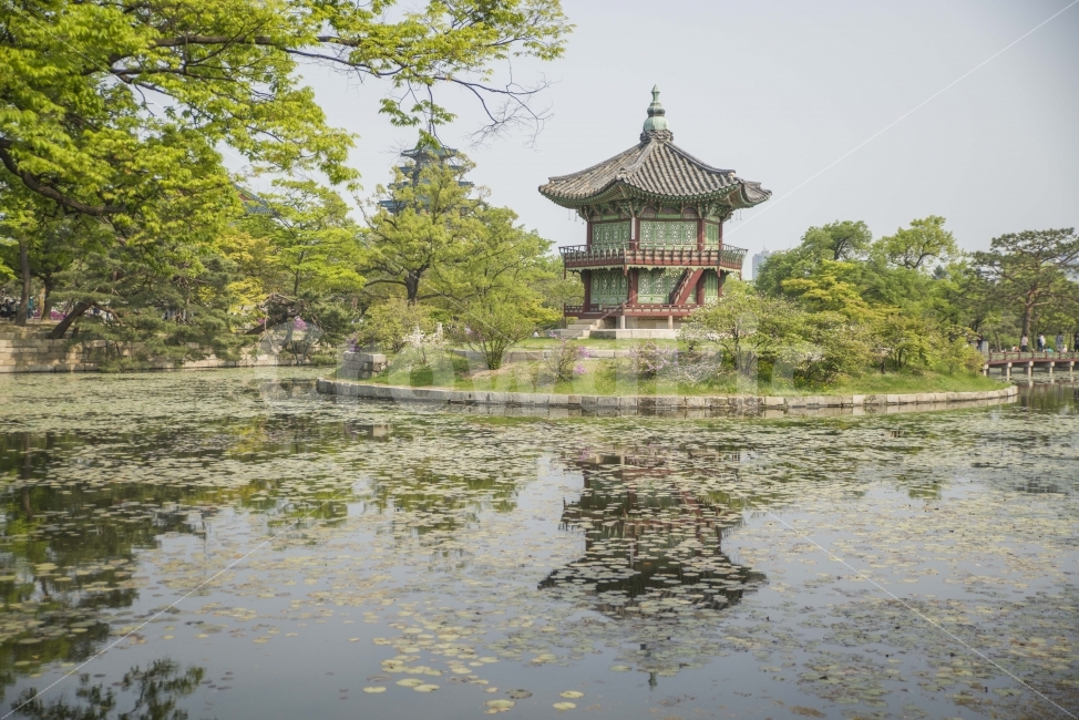 전통,고궁,경복궁,한국,기와,랜드마크,landmark,tourist attraction,한국전통,한국문화,korean traditional,korean culture