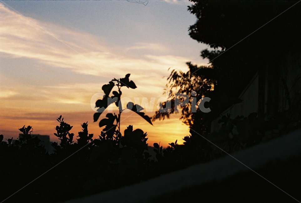 노을,석양,sunset,하늘,sky,자연,풍경,nature,landscape,실루엣,그림자,silhouette,shadow