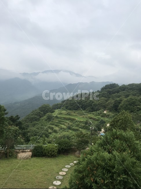 시골,정원,나무,잔디,잔디밭,구름,하늘,풍경,아름다운,초록,푸릇한,안개,운무,새벽,지리산,구례