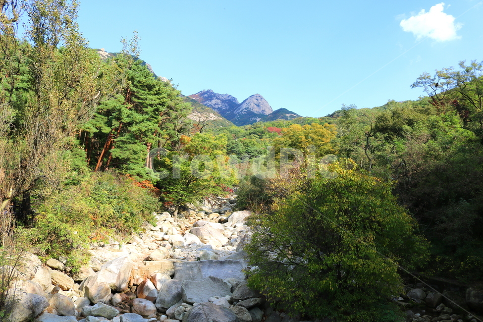 북한산,산,자연,풍경,나무,공원,국립공원,산책로,등산로,원효봉,북한산국립공원,하늘,맑은하늘,만경대,노적봉,식물,자연,풍경,nature,landscape