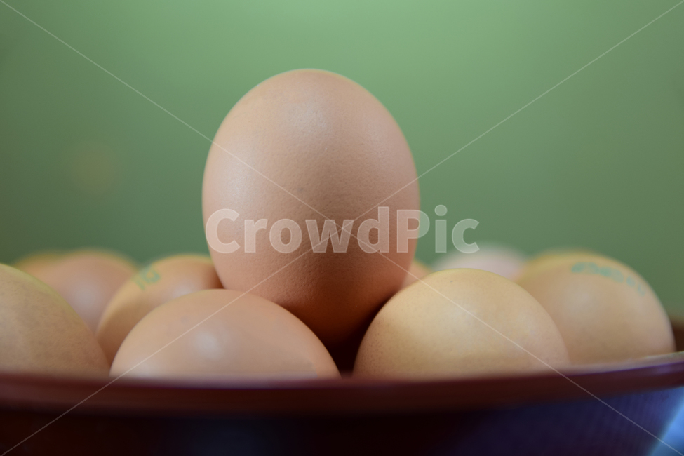 계란,달걀,알,에그,식재료,요리,음식,접시,food,egg,cook,음식,식재료,요리,food,cook,meal,dishes,food reserves