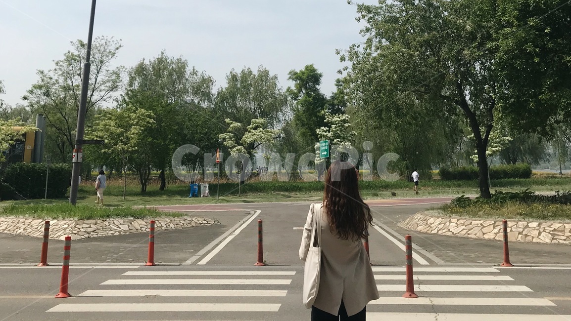 서울,한강,여성,뒷모습,여자,woman,river,bridge,봄,초여름,seoul,intro