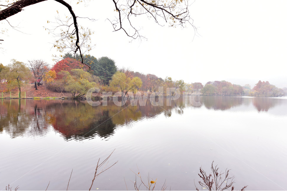 nature,자연,가을,가을단풍,반영,호수,가을풍경
