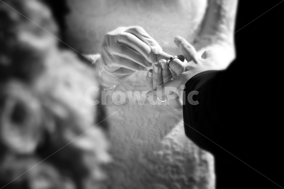 결혼식,예식,결혼,반지,반지교환,결혼,혼례,웨딩,wedding,marriage,marry,흑백,모노톤,monochrome,black and white
