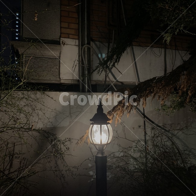 전등,밤,새벽,빛,light