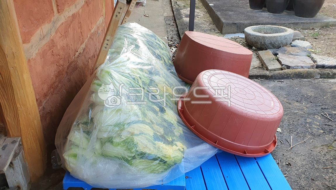 김장,절임배추,배추절임,배추,김장절임배추,김장배추,김치,절임김치,반찬,백김치,야채,채소,비닐,kimchi,빨간통,큰통,대야,바닥,벽