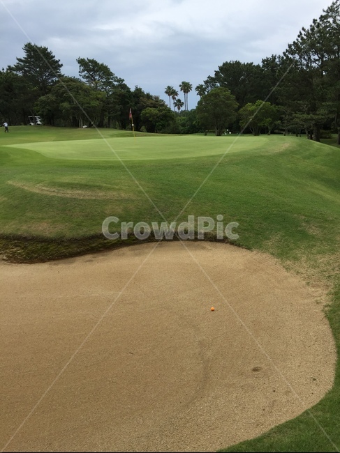 trust,double par,forest,slough,embarrassed,sadness,danger,life,hardship,golf,Overcome,problem,grass,Danger,trap,escape,notice,sky,worry,bunker,green,golf course,homework,opportunity,difficult,sand,field,outdoors,golf ball,Unhappiness,Frustration