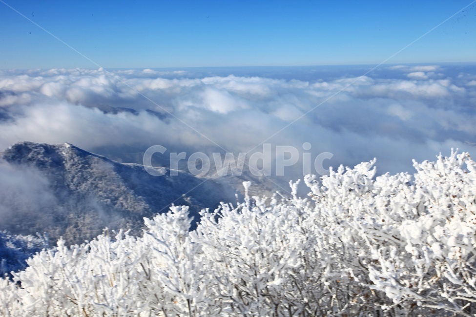 frost,서리,nature,자연,outdoors,옥외,ice,빙,mountain,산,mountainrange,산맥,glacier,빙하,snow,눈,scenery,상고대,무주,덕유산,덕유산설경,설경,설청봉,향적봉,중봉,경치,풍경,운해