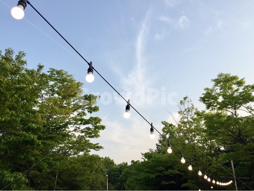 하늘,구름,나무,풍경,산책,전구,축제,여유,초록,하늘색,자연,풍경,nature,landscape,light,빛,traffic light,신호등