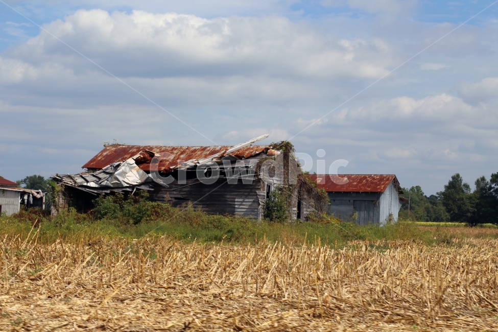 폐가,집,버려진집,버린집,시골,시골,마을,풍경,landscape,country,rural,town