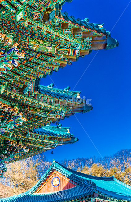 단청,문양,사찰,선,패턴,한국전통,한국문화,korean traditional,korean culture,종교,신앙,religion,belief,faith,건축물,건물외관,exterior,building,structure,architecture,construction