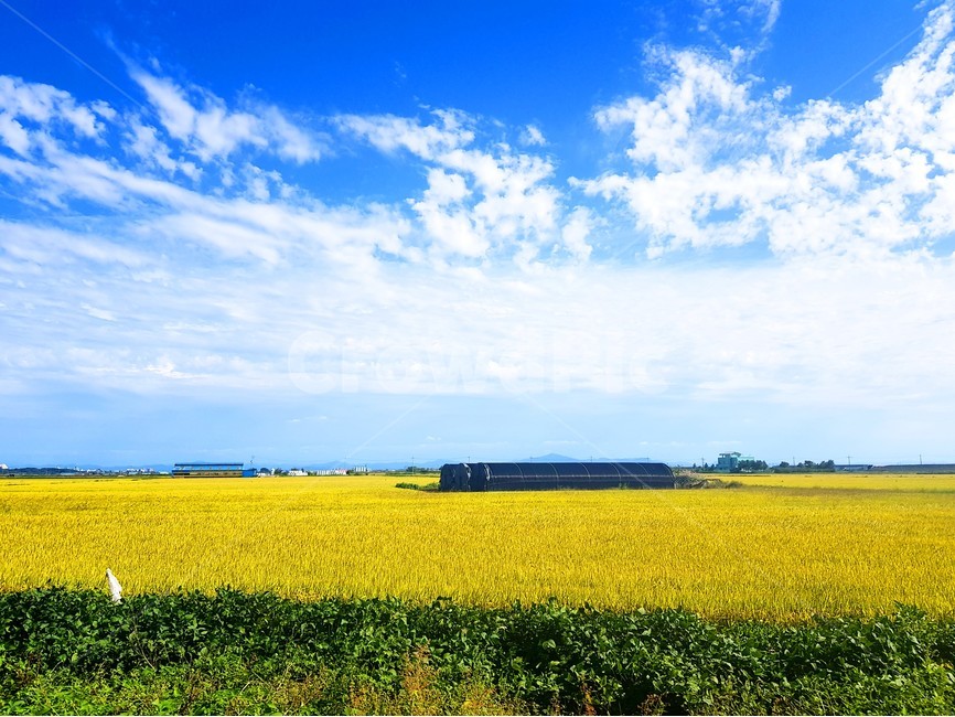 풍경,자연,논밭,시골,하늘,구름,가을,시골,마을,풍경,landscape,country,rural,town