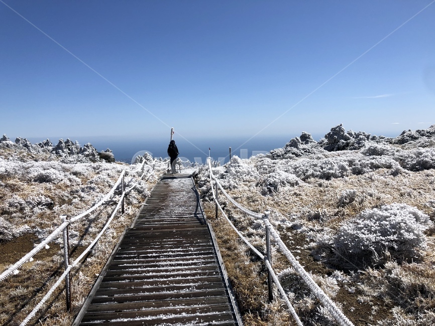 제주도,한라산,겨울산행,돈내코,남벽분기점,설경,눈꽃,jeju,mthalla,자연,nature,파란하늘,트레킹,trecking,겨울,winter,겨울산,수평선,탐방로,인간,human