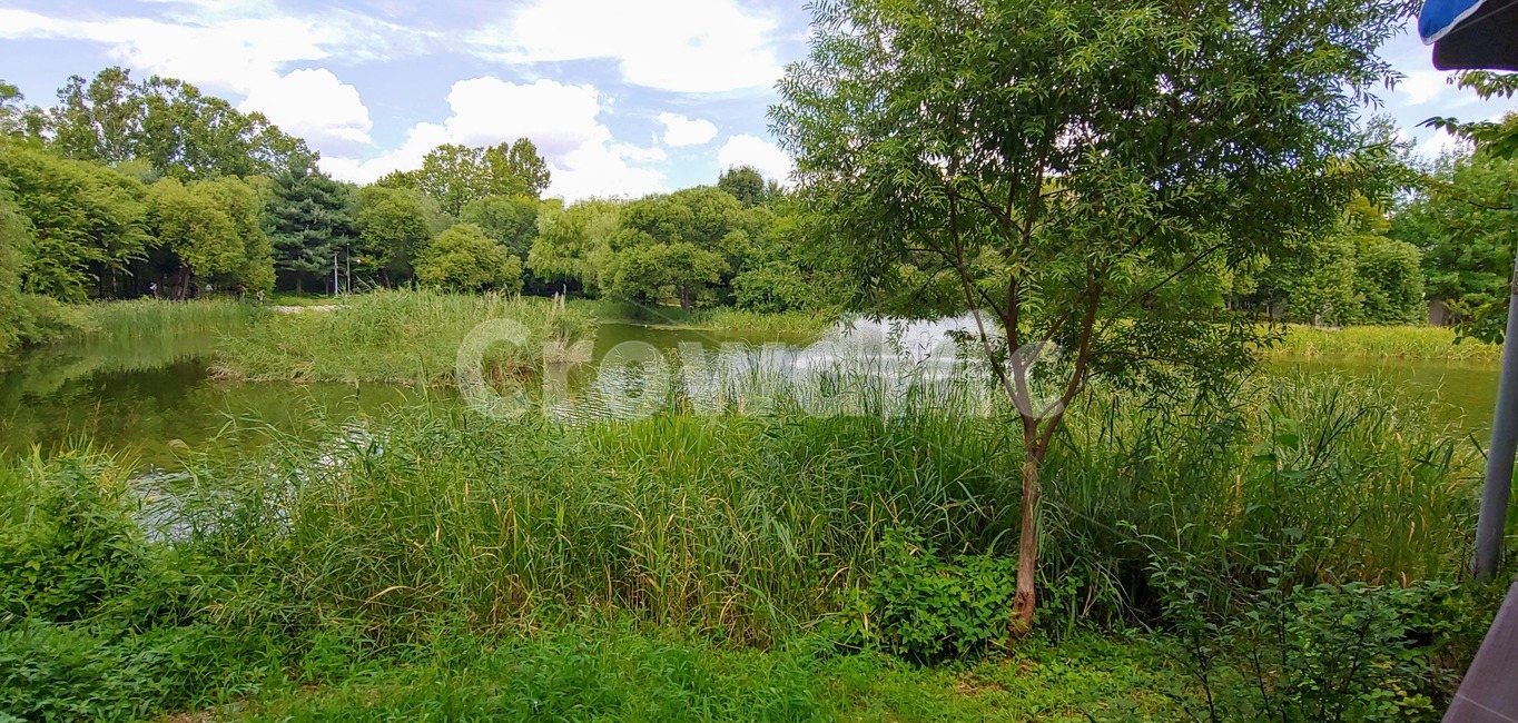 water,물,nature,자연,land,나라,outdoors,옥외,서울숲