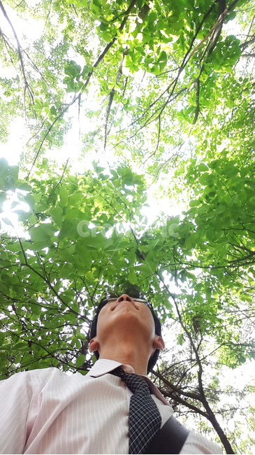 휴식,산책,직장인,초록,햇살,쉼,충전,tie,넥타이,tree,나무,plant,식물,sunlight,햇빛,person,사람,human,인간,나무,trees,wood,남성,남자,man,male