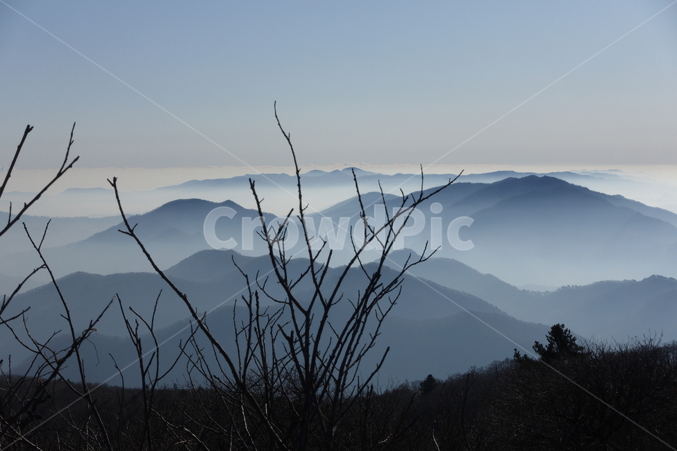 발왕산,산,정상,풍경,운무,안개,몽환적인,실루엣,nature,자연,mountainrange,산맥,mountain,outdoors,옥외,자연,풍경,nature,landscape