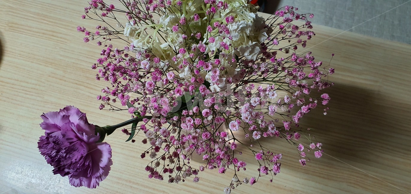 꽃다발,축하,생명,컬러,nature,hydrangea,birthday,colorful,background,decoration,day,florist,beautiful,arrangement,fresh,purple,festive,mix,wedding,decor,composition,top,botanic,holiday,concept,pink,present,bunch,plant,식물,blossom,flower,꽃,flowerbouquet,꽃부케,flowerarrangement,꽃꽂이