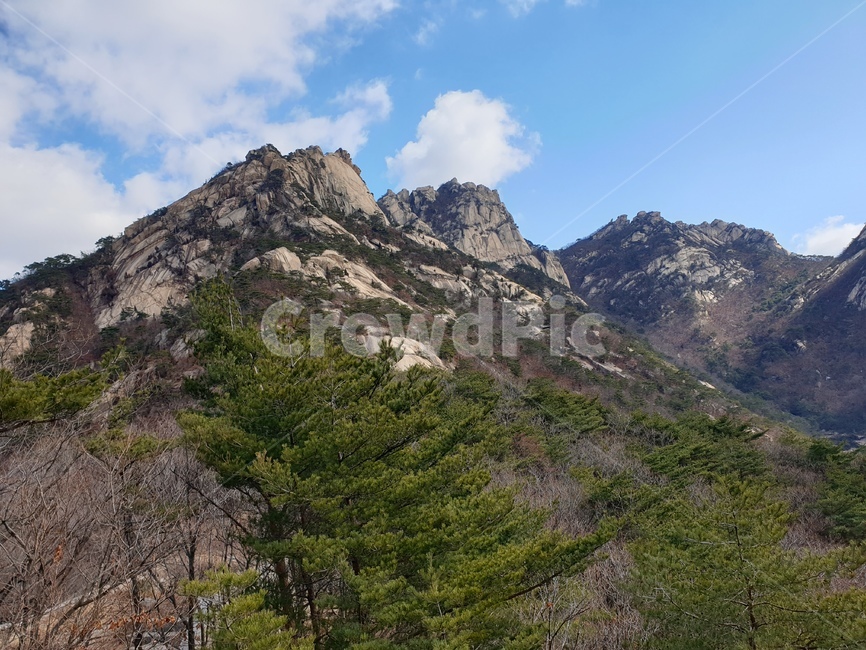 자연,나무,산,산맥,북한산,구름,outdoors,옥외