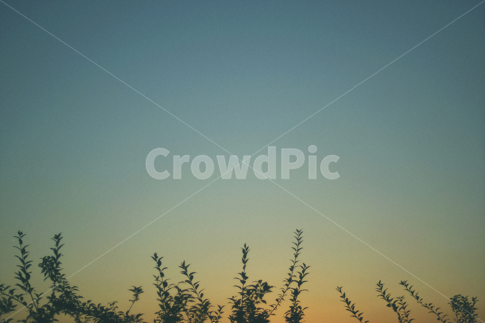 노을,풀,하늘,감성,여백,실루엣,silhouette,sky,sunset,nature,자연