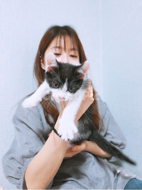 고양이,여자,사람,얼룩,집사
