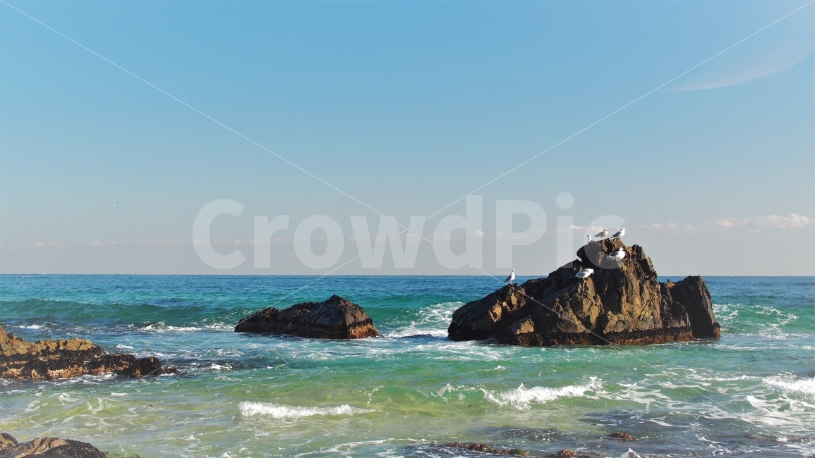 	바다,동해,수평선,풍경,배경화면,감성,blue,ocean,sea,sky,자연,nature,여행,투명한,에메랄드,파란색,바위,갈매기,자연,풍경,nature,landscape,한국자연풍경,한국자연경관,korea nature landscape,동물,animal,조류,새,birds,outdoors,옥외,대양,water,물,바다,promontory,곶