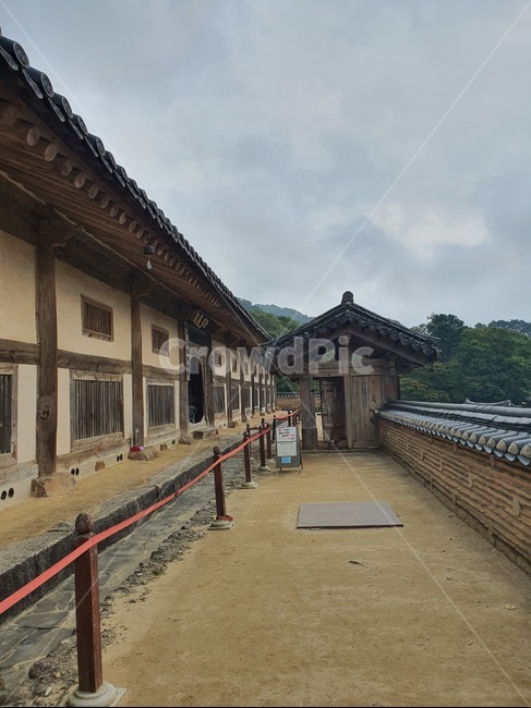 해인사,팔만대장경,보관,전통,기와,기와집,흙,흙길,미세먼지,숲,하늘,구름,흐림,유네스코,전경,도로,길,절,돌담,담벼락,울타리