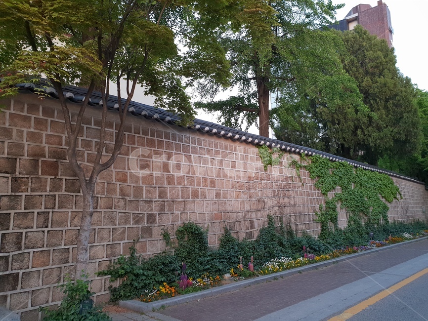 한옥,담벼락,벽,기와,기와벽,담쟁이,식물,덩쿨,건축물,건물외관,exterior,building,structure,architecture,construction