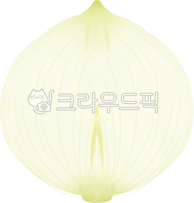 양파,양파그림,양파일러스트,자른양파,양파단면,양파단면일러스트,깐양파,채소,채소그림,채소일러스트,식재료,식료품,야채,식재료일러스트,식료품일러스트,식료품그림,음식그림,음식일러스트,식재료그림,음식,요리재료,요리재료그림,통양파일러스트,깐양파일러스트,자른양파그림