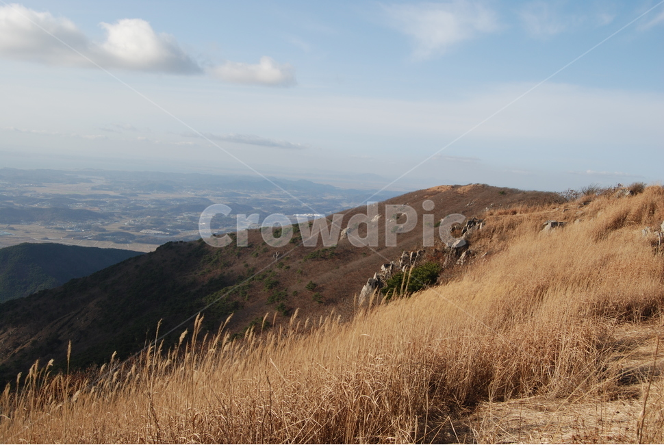 오서산,자연휴양림,보령시,100대명산,등산로,자연,풍경,nature,landscape,한국자연풍경,한국자연경관,korea nature landscape,slope,경사,outdoors,옥외