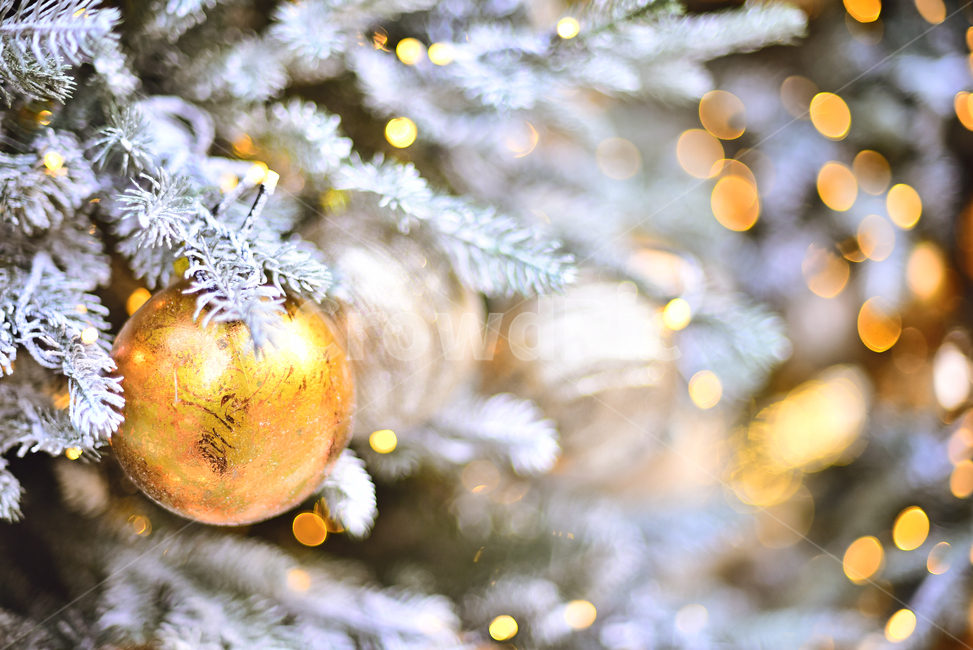 크리스마스,크리스마스트리,츄리,성탄절,xmas,tree,나무,plant,식물,christmas,년말장식,장식물,데코레이션,decoration,성탄볼,ball,크리스마스볼,christmasball,background,백그라운드,배경,바탕,분위기,성탄분위기,성탄배경,금색,은색,동색,silver,golden,황금색,계절,시즌,season,메리크리스마스,성탄절,merry christmas