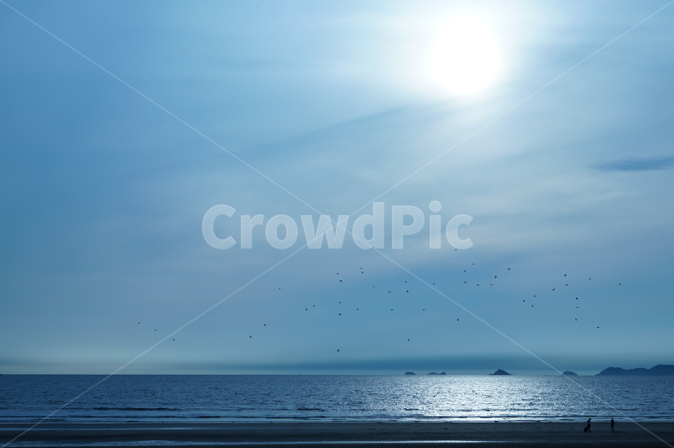 안면도,안면도바다,색온도,서해바다,마검포,landscape,새,birds,지평선,horizon,자연,풍경,nature,landscape,outdoors,옥외