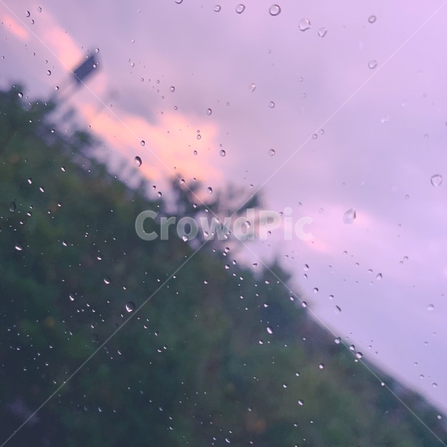 비,노을,물방울,외로움,슬픔,rain,비오는날,자연,여름,장마,물