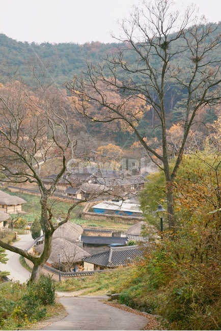 양동마을,가을,풍경,초가집,농촌