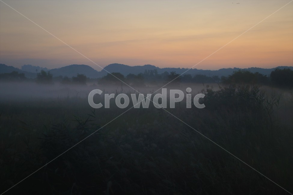안개,weather,mist,fog,물안개