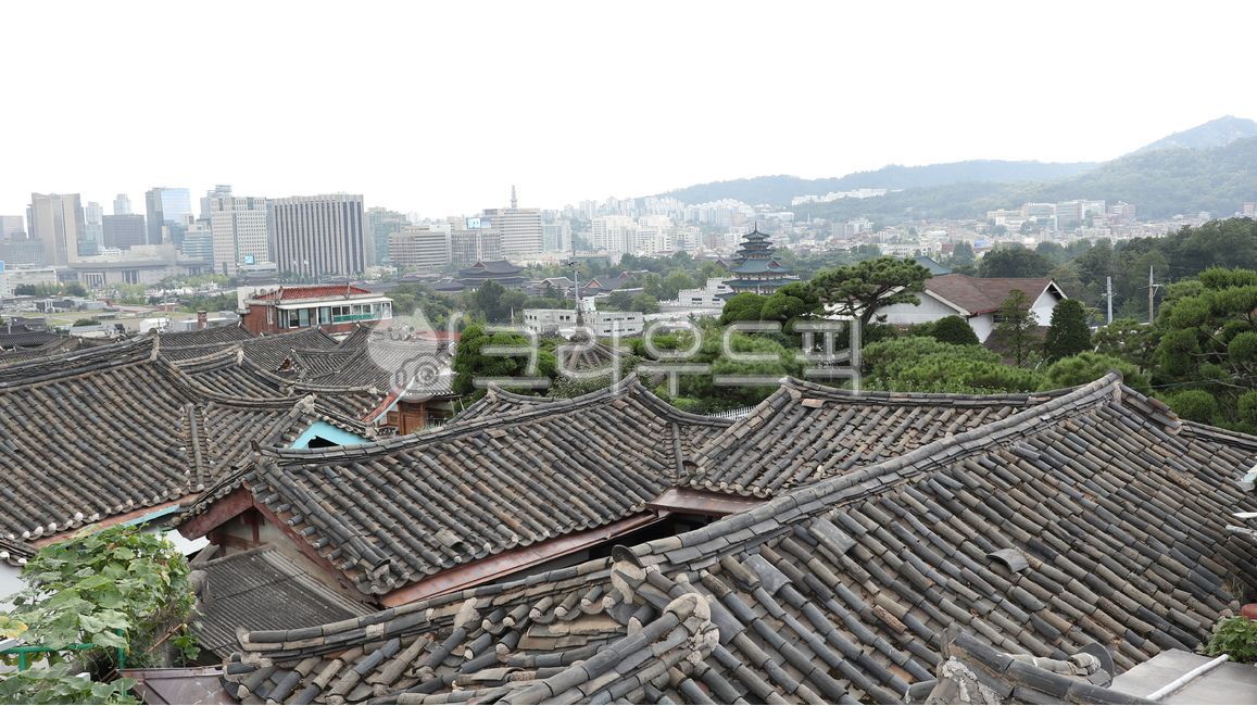 roof,지붕,한옥,전통,한옥마을