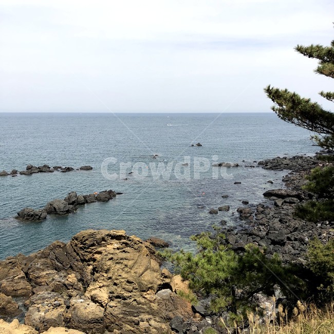 제주도,휴식,환경,자연,바다,산책