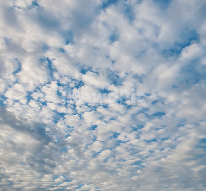 양털구름,양떼구름,푸른하늘,sky,하늘,cloud,구름