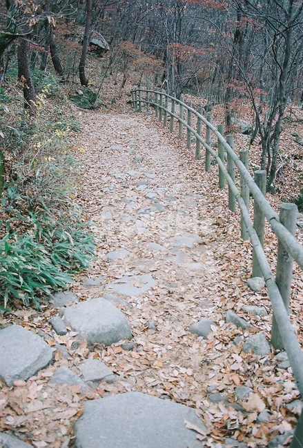 월악산,자연풍경,등산로,계절,늦가을,worakmountain,naturalscenery,climbingroute,season,latefall,자연,풍경,nature,landscape,gravel,자갈,road,도로,dirt road,흙길