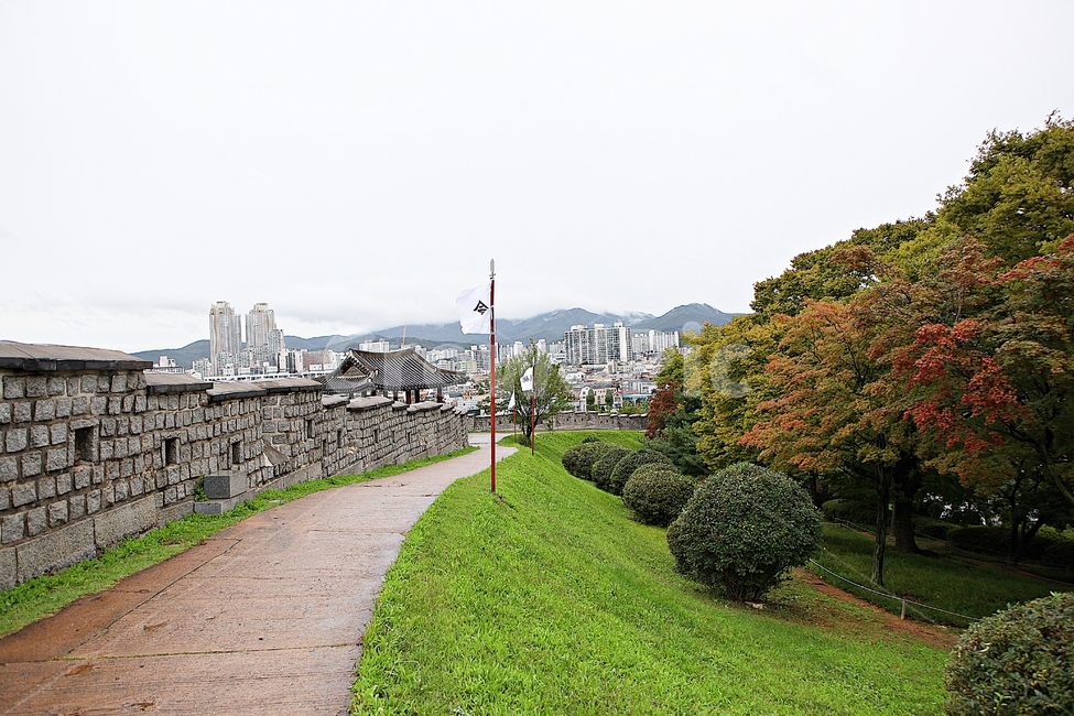 수원화성,성,성곽,길,둘레길,돌담,담,가을,자연,풍경,벽,방어벽,전통,흙담,식물,나무,산성,한국전통,한국문화,korean traditional,korean culture